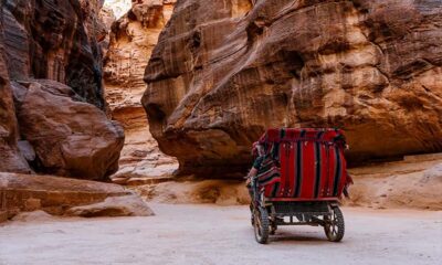 From Amman: Private Petra Day Trip with Guide