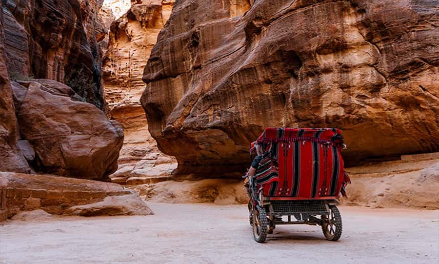 From Amman: Private Petra Day Trip with Guide - The drive south from Amman