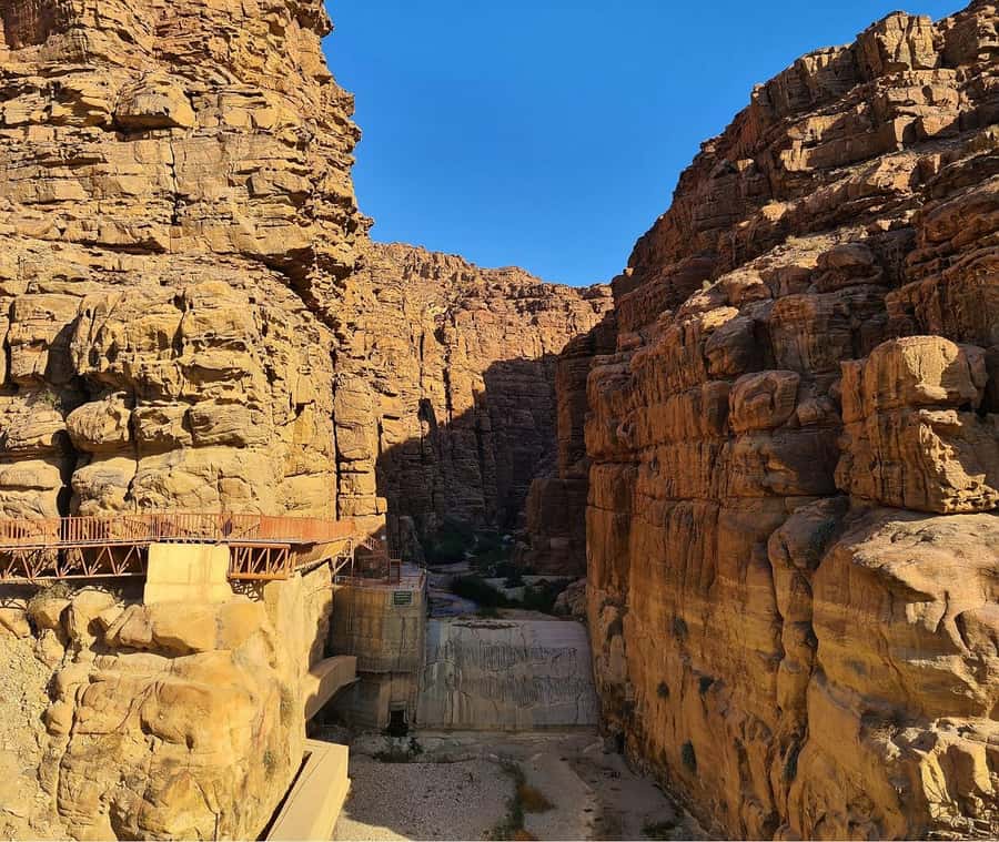 From Amman:To Al-Mujib Canyon & Dead Sea Salt Beach Day Trip - What the driver adds to the day
