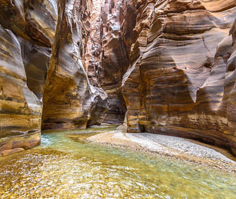 From Amman:To Al-Mujib Canyon & Dead Sea Salt Beach Day Trip - Final verdict: book it if you want contrast