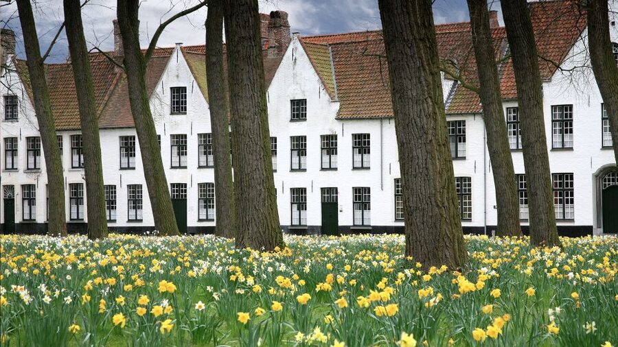 From Amsterdam: Bruges Day Trip in English with Boat Option - Finishing at Grote Markt