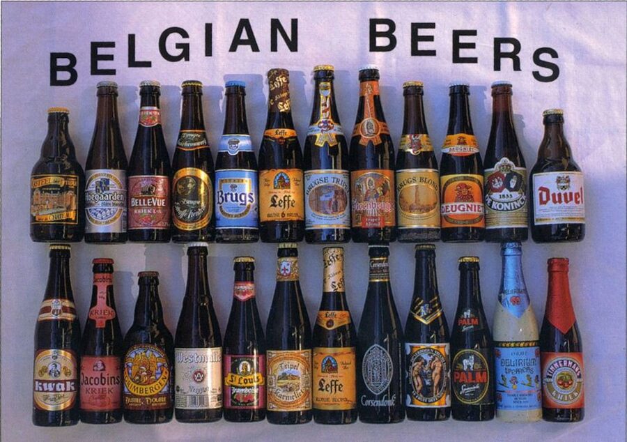From Amsterdam: Day Trip to Bruges in Spanish or English - Is $55 good value for a 12-hour day?