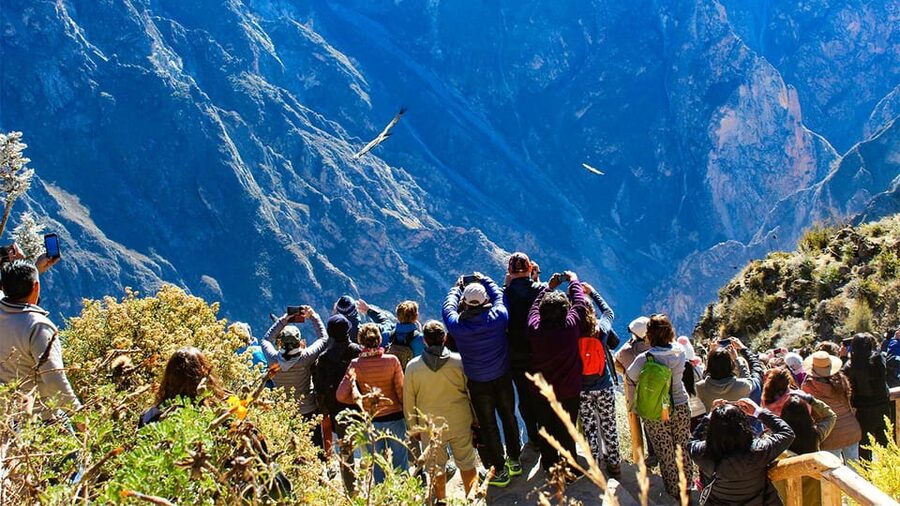 From Arequipa: Colca Canyon Day Trip with Transfer to Puno - What to pack for this particular route