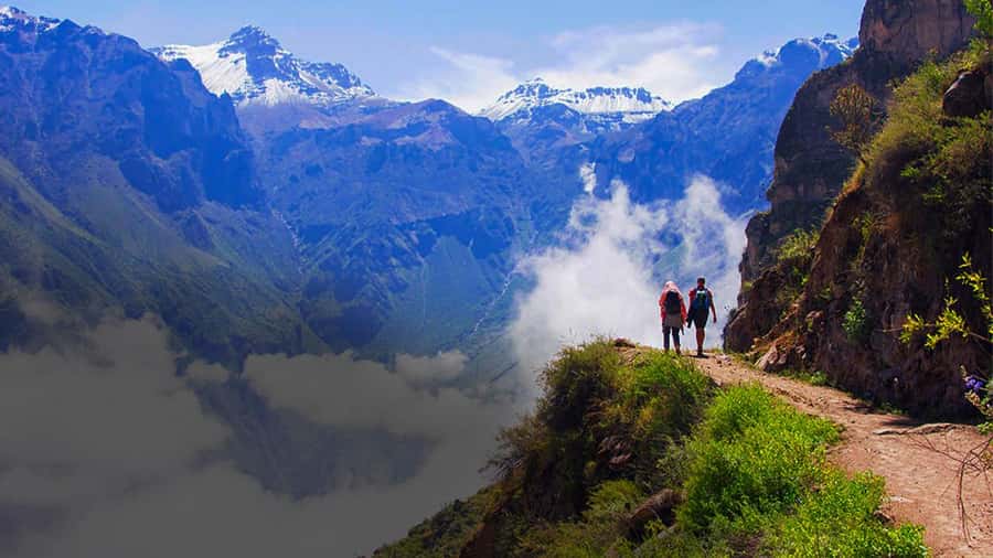 From Arequipa: Colca Canyon Day Trip with Transfer to Puno - Why this day trip makes sense