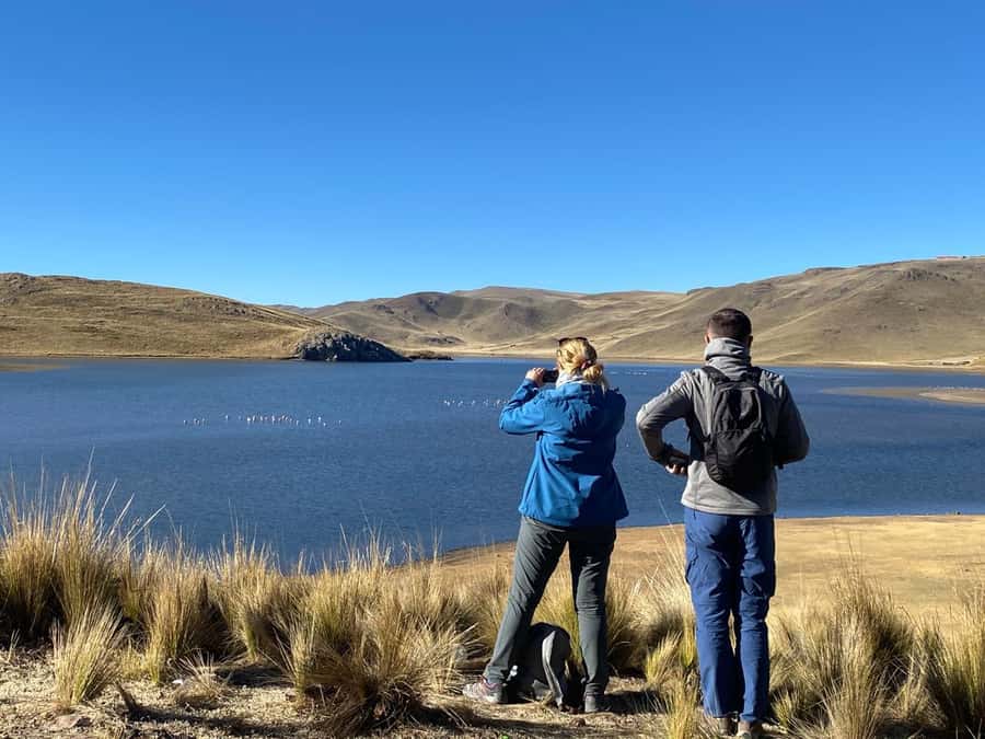 From Arequipa: Colca Canyon Day Trip with Transfer to Puno - Cruz del Cóndor and the canyon edge