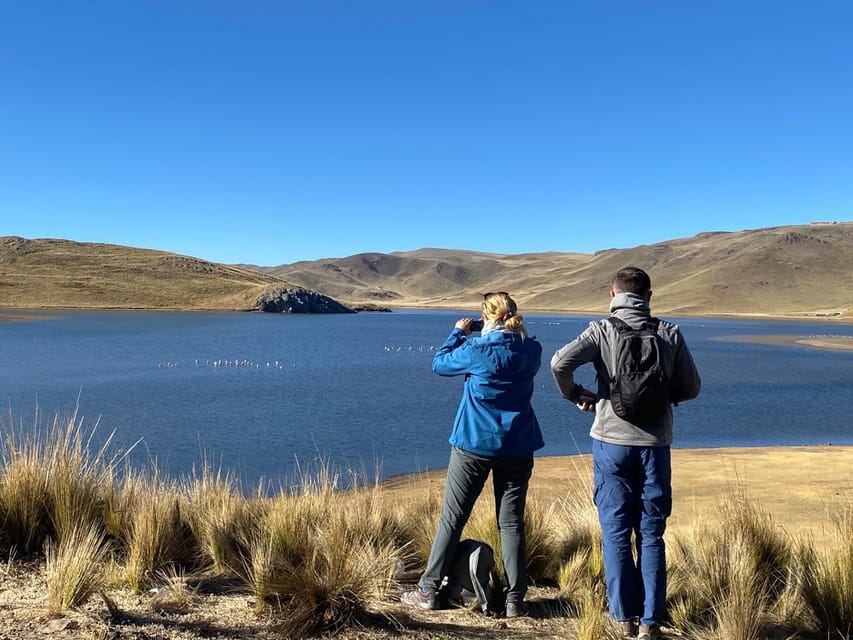 From Arequipa: Colca Canyon Day Trip with Transfer to Puno - Chacapi Hot Springs and lunch in Chivay