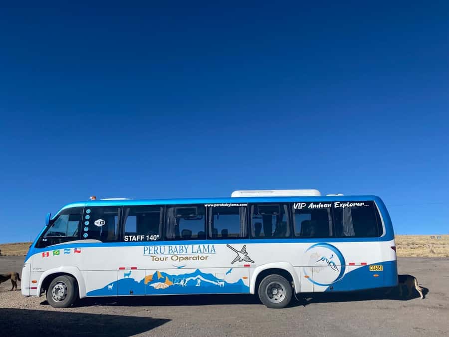 From Arequipa: Colca Canyon Day Trip with Transfer to Puno - Across the national reserve toward Puno
