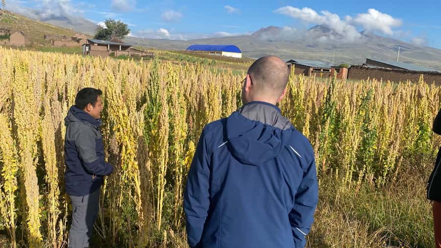 From Arequipa: Colca Canyon Day Trip with Transfer to Puno - Lagunillas and the final coach ride