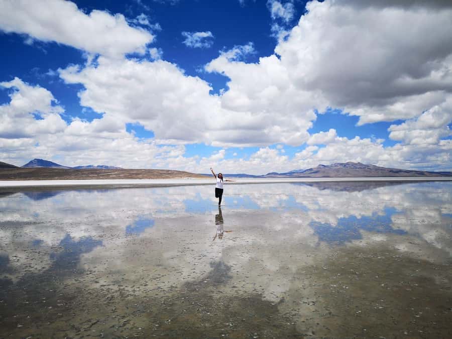 From Arequipa: Salinas Lagoon Full-Day Trip with Hot Springs - Is $49 Good Value?