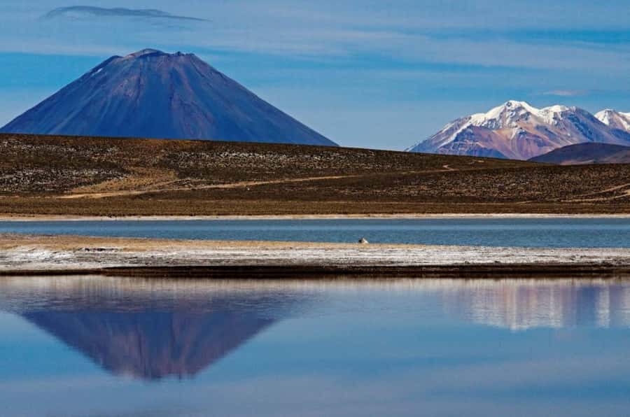 From Arequipa: Salinas Lagoon Full-Day Trip with Hot Springs - Chiguata’s Church and a Traditional Breakfast