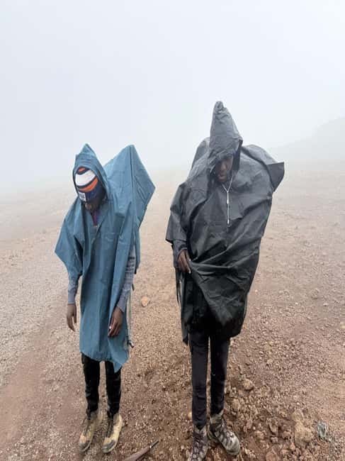 From Arusha/Moshi: Kilimanjaro Hike Marangu Route Day Trip - Transport, lunch, water, and what the $101 covers