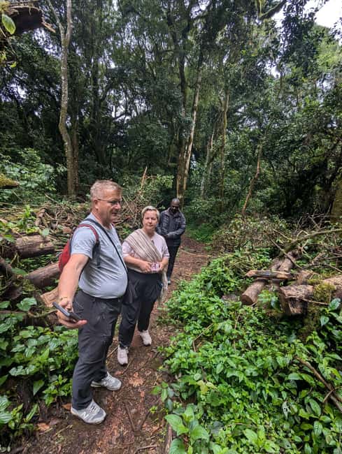 From Arusha/Moshi: Kilimanjaro Hike Marangu Route Day Trip - Fitness, clothing, and weather advice