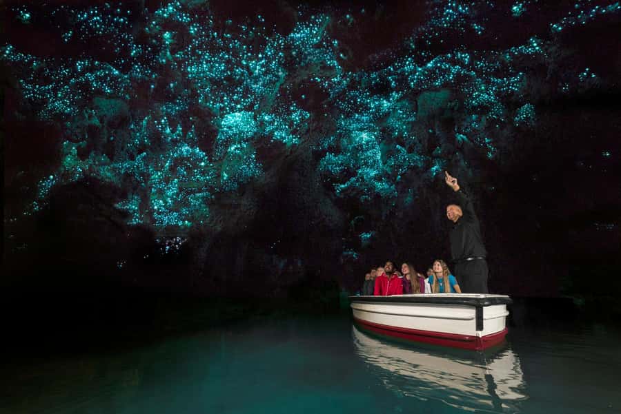 From Auckland: Day Trip to Waitomo Glow Worm Caves - Why the Waitomo Glowworm Caves are worth the long drive