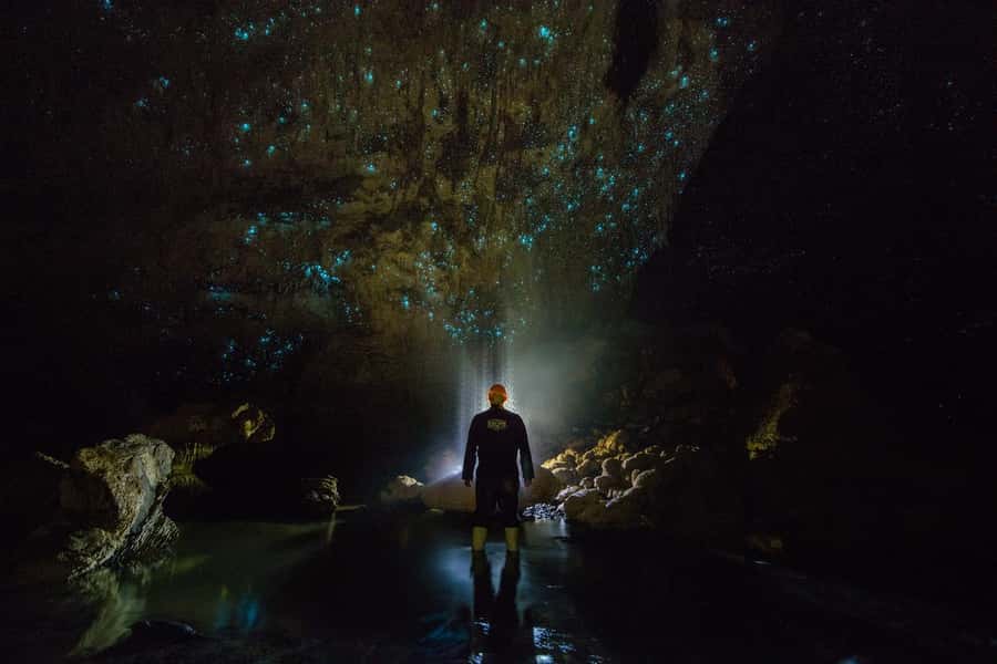 From Auckland: Day Trip to Waitomo Glow Worm Caves - The return to Auckland and what the timing means