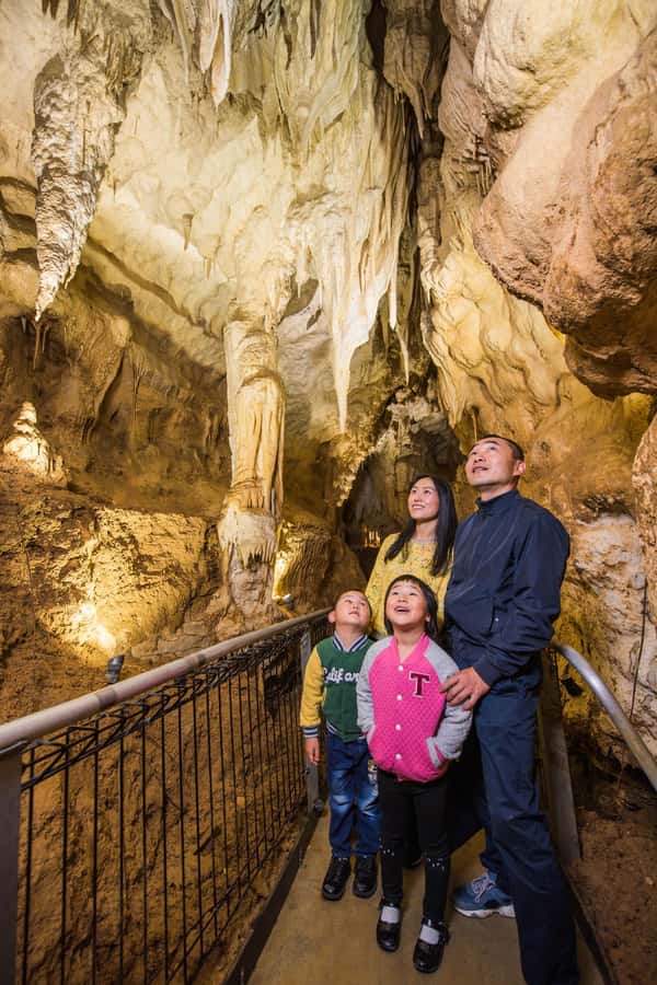 From Auckland: Day Trip to Waitomo Glow Worm Caves - My verdict on the Auckland to Waitomo tour