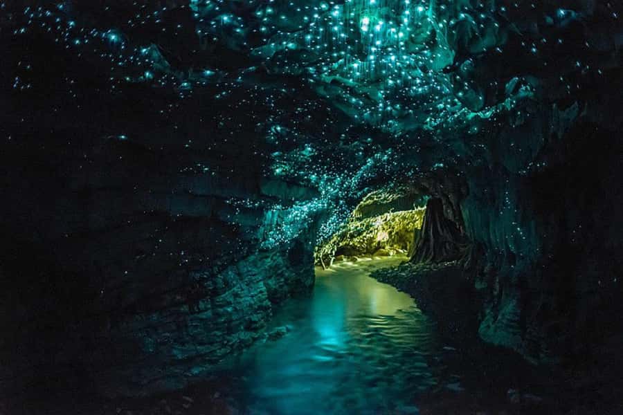 From Auckland: Day Trip to Waitomo Glow Worm Caves - Auckland pickup and the road south