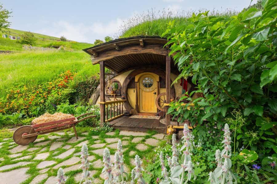 From Auckland: Hobbiton Movie Set Full-Day Trip - Walking through 44 Hobbit Holes