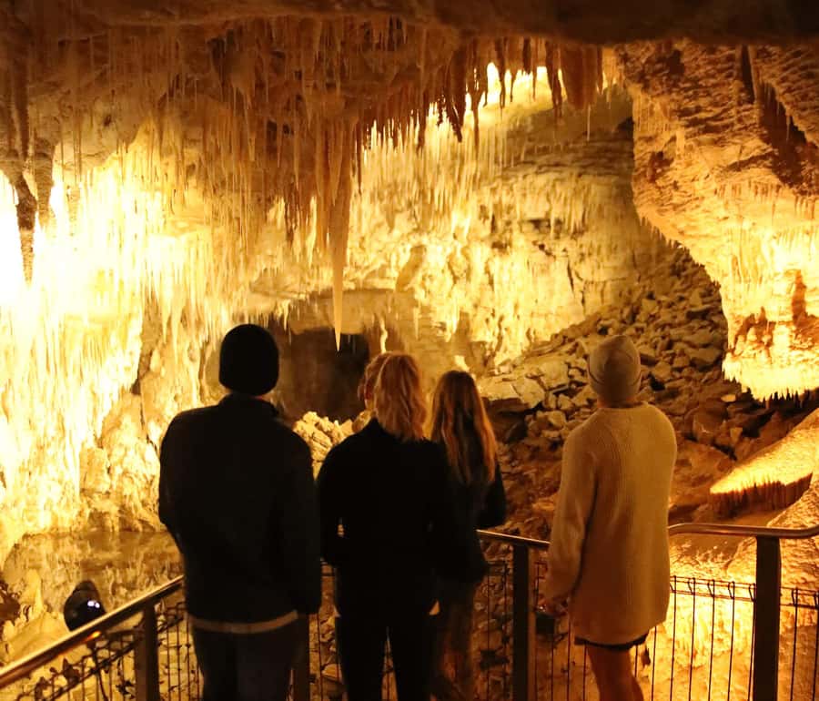 From Auckland: Hobbiton & Waitomo Caves Full-Day Trip - What the $269 price really covers