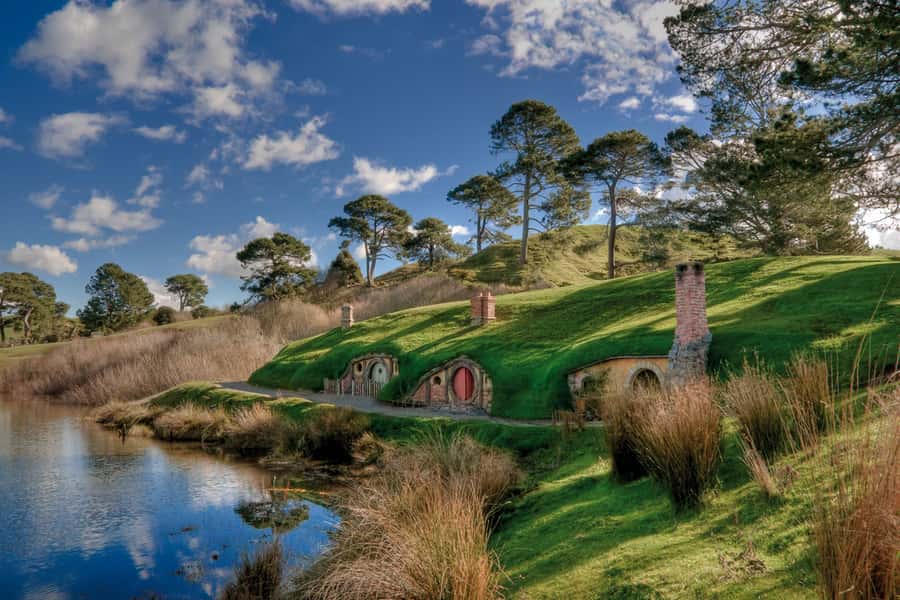 From Auckland: Hobbiton & Waitomo Caves Full-Day Trip - Who should choose this day trip?