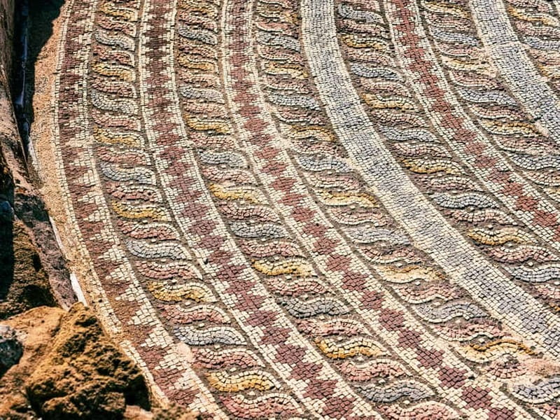 From Ayia Napa/Protaras/Larnaca: Paphos and Kourion Day Trip - The House of Dionysus puts Paphos mosaics first