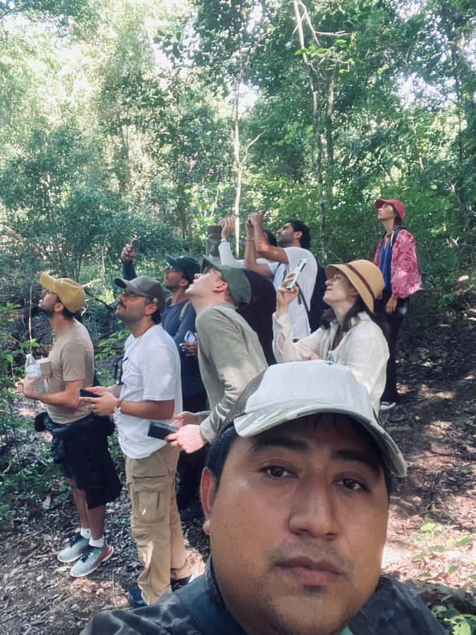 From Bacalar: Calakmul Ruins Expedition & Jungle Trek - Key things to know before you go