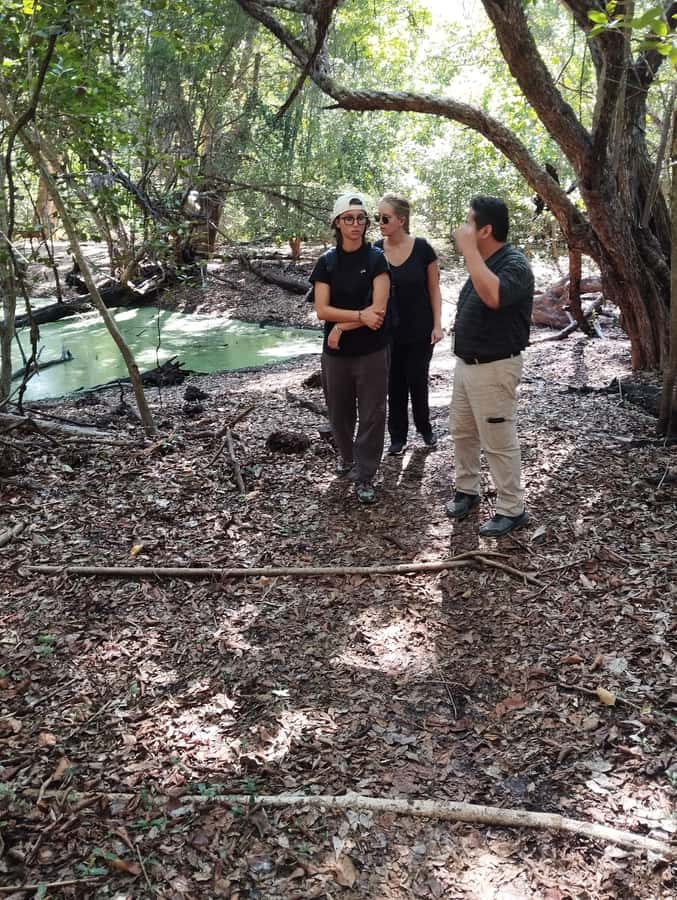 From Bacalar: Calakmul Ruins Expedition & Jungle Trek - Walking through the ancient city