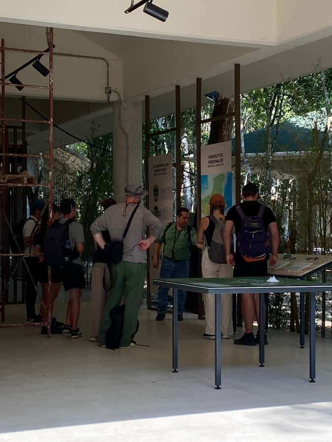From Bacalar: Calakmul Ruins Expedition & Jungle Trek - Climbing Structure II for the big view