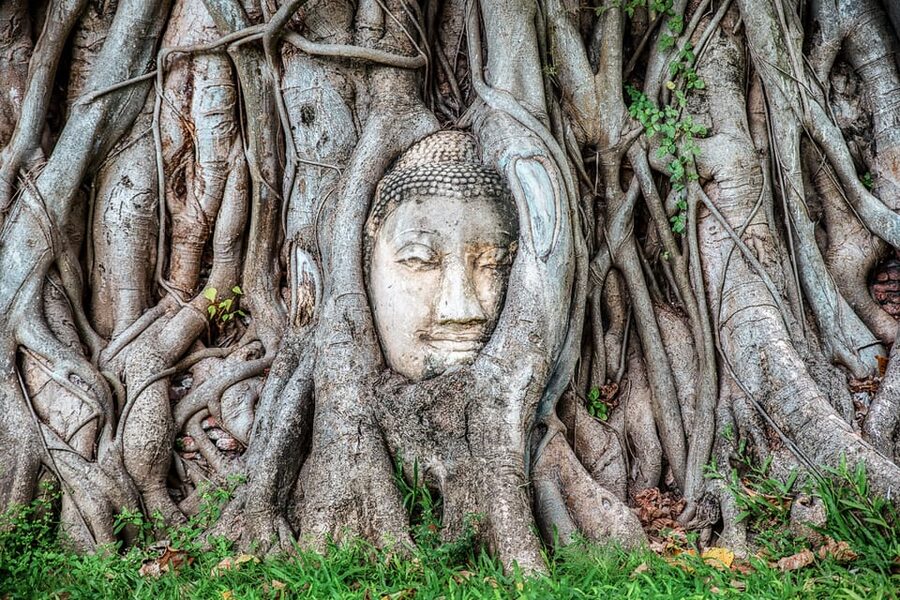 From Bangkok: Ayutthaya & Ayothaya Floating Market Day Trip - Key points to know before you book