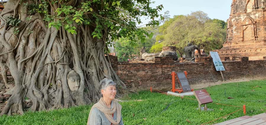 From Bangkok: Ayutthaya & Khao Yai National Park Day Trip - Lunch at a local restaurant