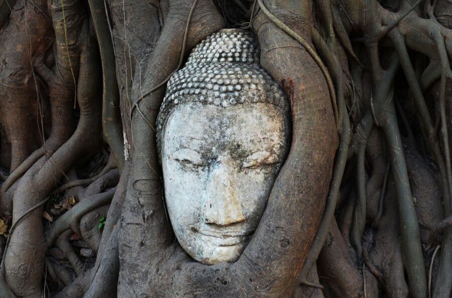 From Bangkok: Floating Market & Ayutthaya Private Day Trip - Wat Phra Sri Sanphet and the royal temple grounds