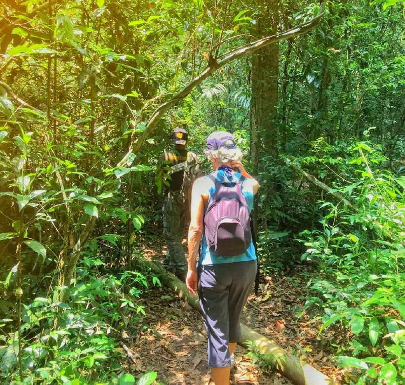 From Bangkok: Khao Yai National Park Small-Group Day Trip - Key points at a glance