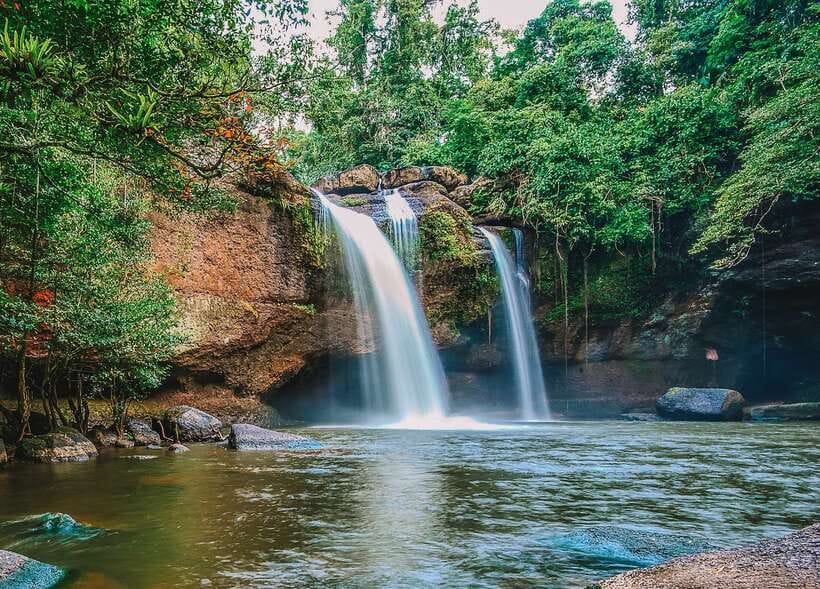 From Bangkok: Khao Yai National Park Small-Group Day Trip - Lunch at the park canteen