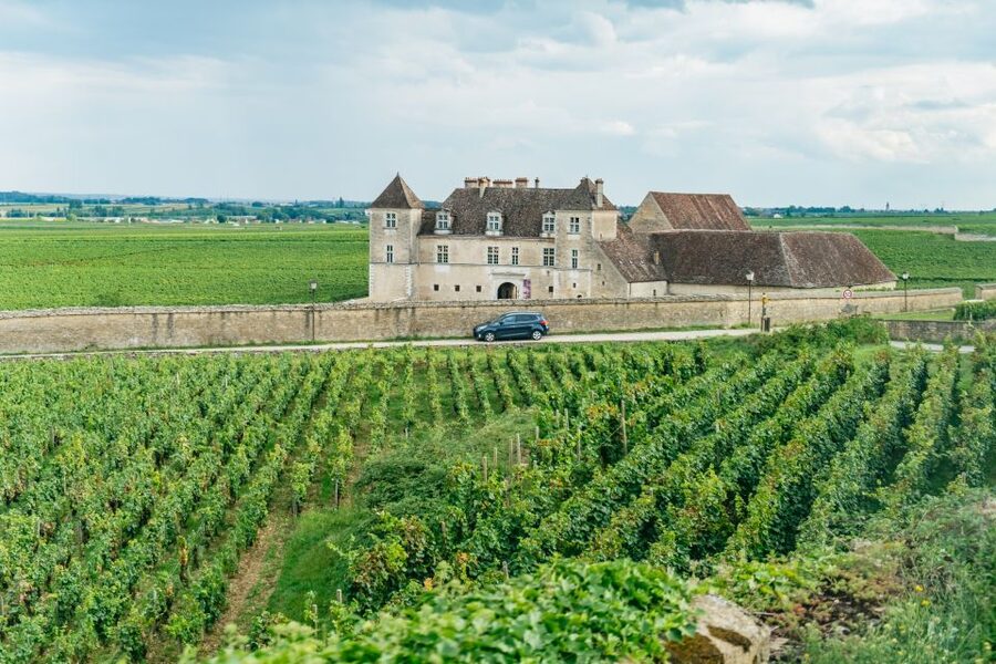 From Beaune: Burgundy Day Trip with 14 Wine Tastings - Five useful things to know before booking