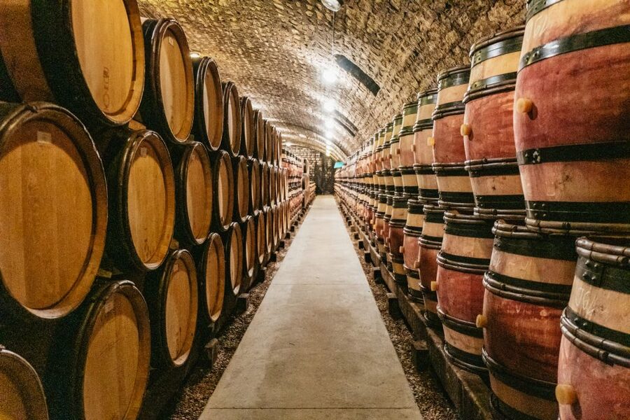 From Beaune: Burgundy Day Trip with 14 Wine Tastings - What $294 gets you