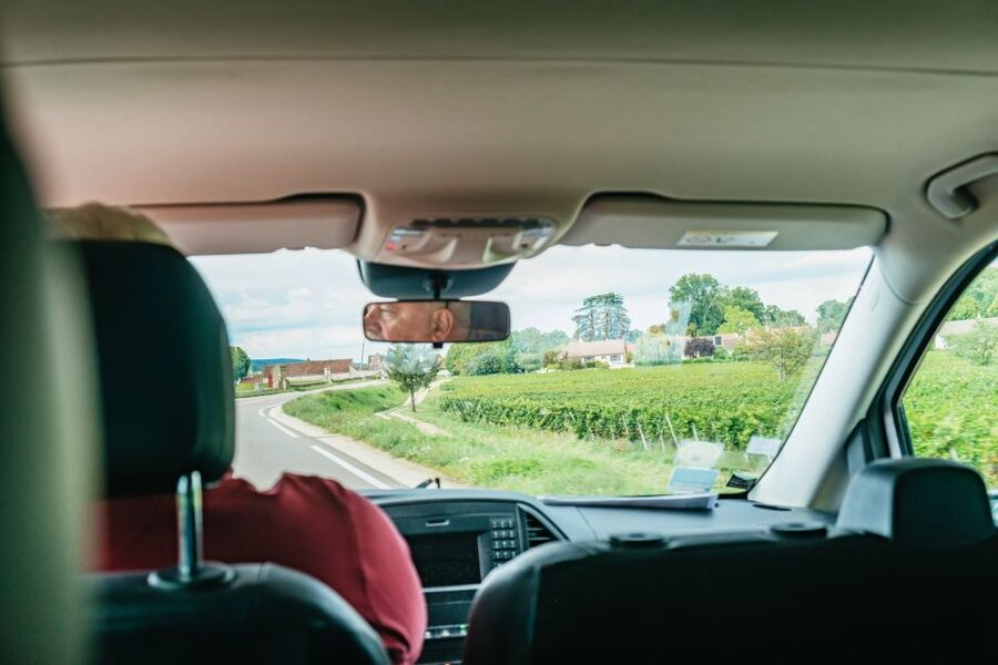 From Beaune: Burgundy Day Trip with 14 Wine Tastings - Nuits-Saint-Georges and the winemaker’s cellar