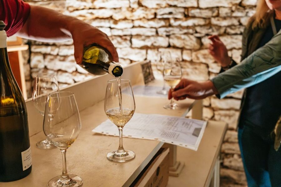 From Beaune: Burgundy Day Trip with 14 Wine Tastings - Meeting in Beaune and settling into the van