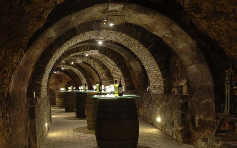 From Bilbao: La Rioja Wineries Day Trip with Wine Tastings - Haro and the grand cellar of CVNE