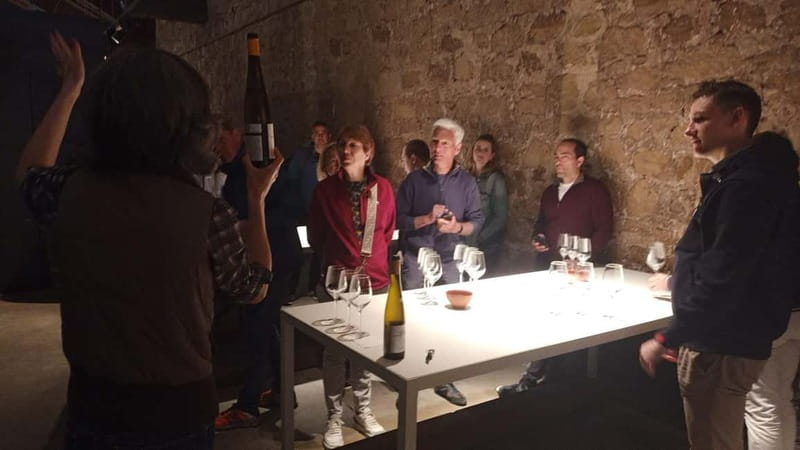 From Bilbao: La Rioja Wineries Day Trip with Wine Tastings - The guides make a real difference