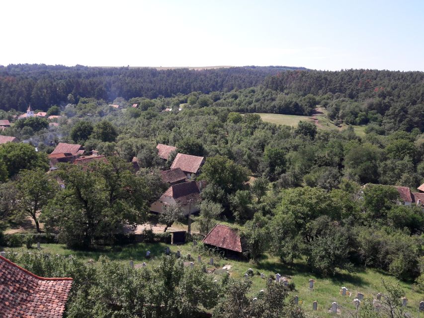 From Brasov: Sighisoara, Viscri, and Rupea Unesco Day Trip - Key points at a glance