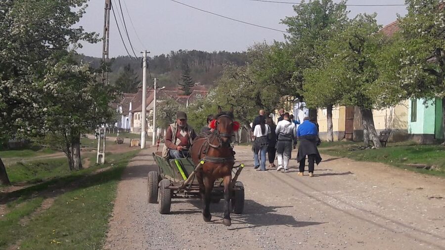 From Brasov: Sighisoara, Viscri, and Rupea Unesco Day Trip - A small group makes the road easier