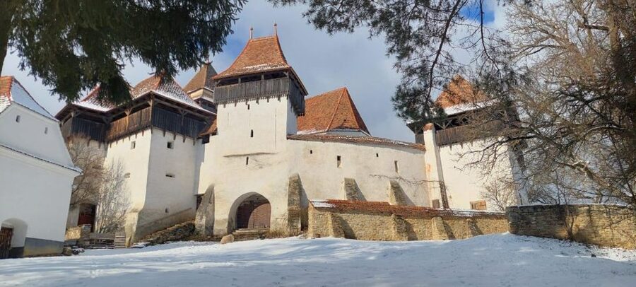 From Brasov: Sighisoara, Viscri, and Rupea Unesco Day Trip - Who should book this experience?