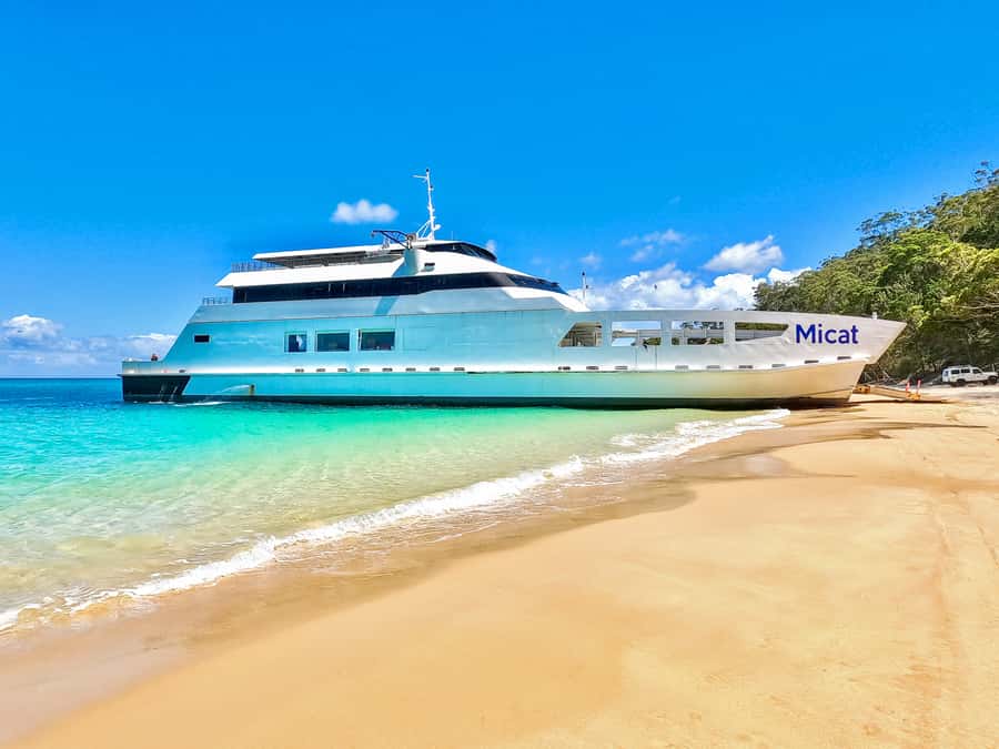From Brisbane: Moreton Island Full-Day Trip - The cost: good value, with one important catch
