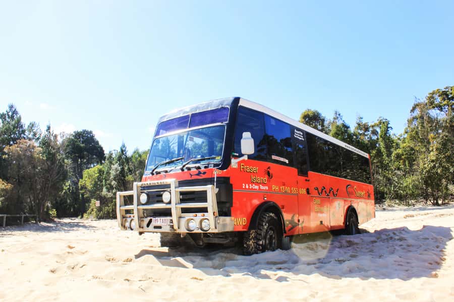 From Brisbane: Moreton Island Full-Day Trip - Four-wheel driving into Moreton Island’s sand country