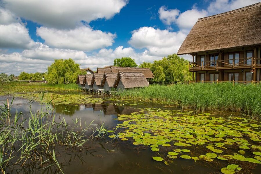 From Bucharest: Day Trip to Danube Delta - Starting in Bucharest at 6:30 AM