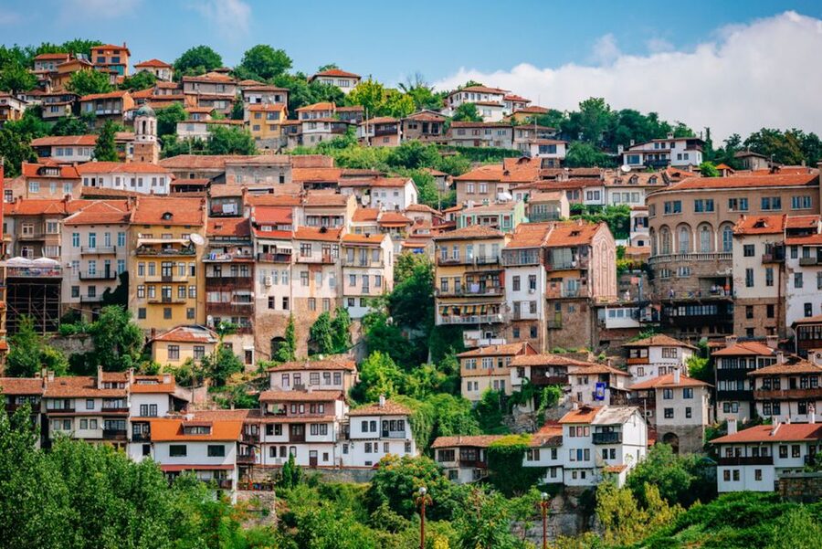 From Bucharest: Small Group Day Trip to Medieval Bulgaria - What the $87 price really covers