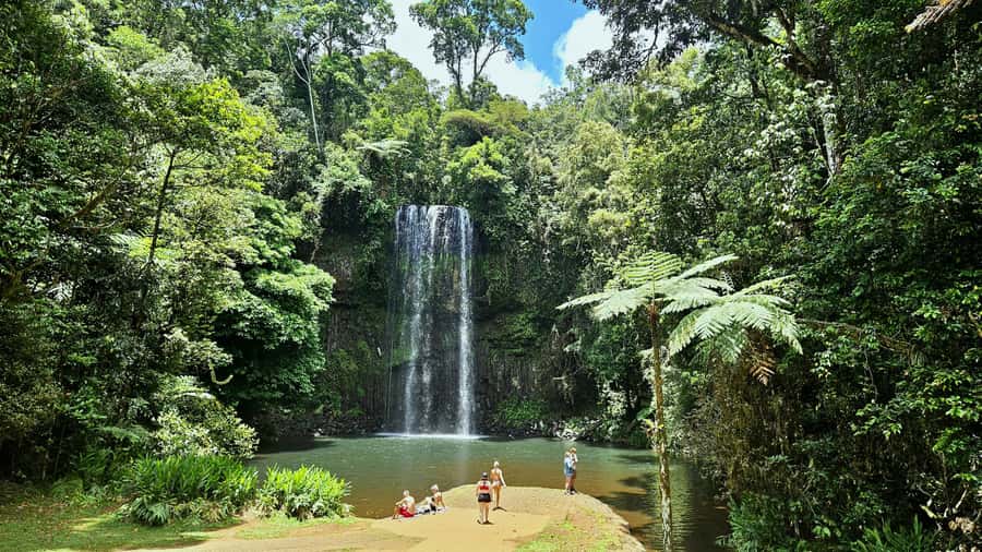 From Cairns: Atherton Tablelands and Paronella Park Day Trip - What makes this Atherton Tablelands trip worthwhile