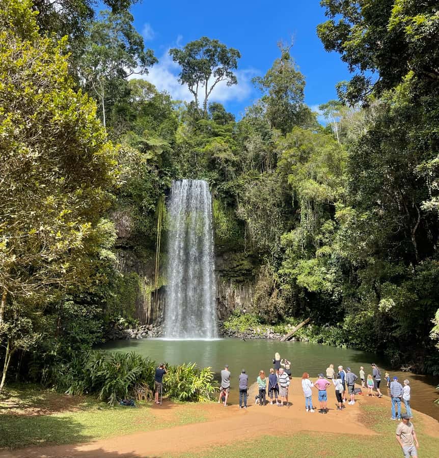 From Cairns: Atherton Tablelands and Paronella Park Day Trip - Malanda leads to the cool water of Millaa Millaa Falls