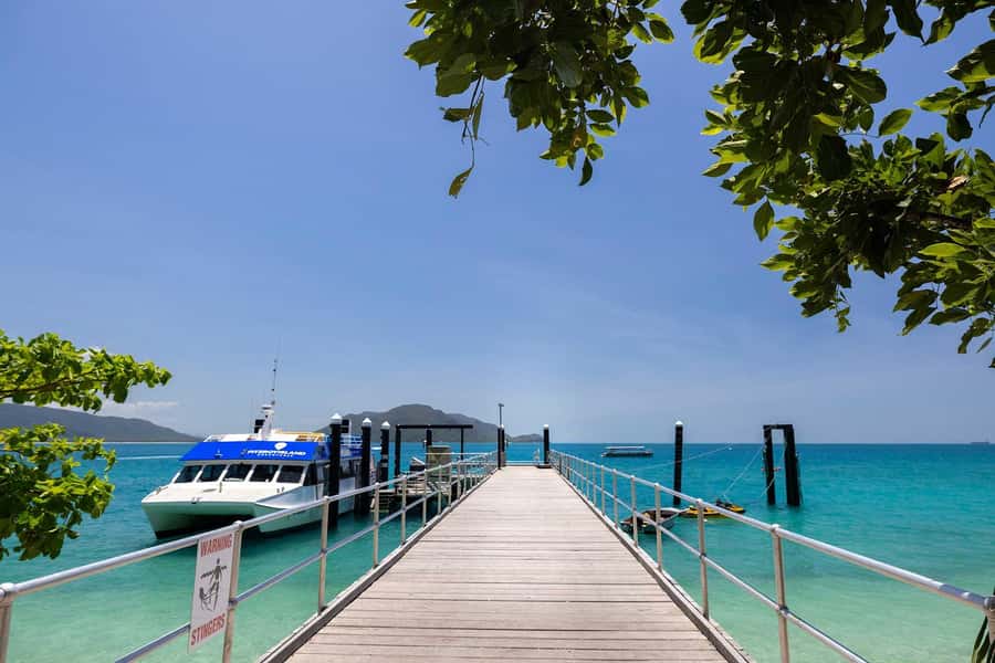 From Cairns: Fitzroy Island Day Trip by Ferry - Beaches, rainforest, and the summit walk
