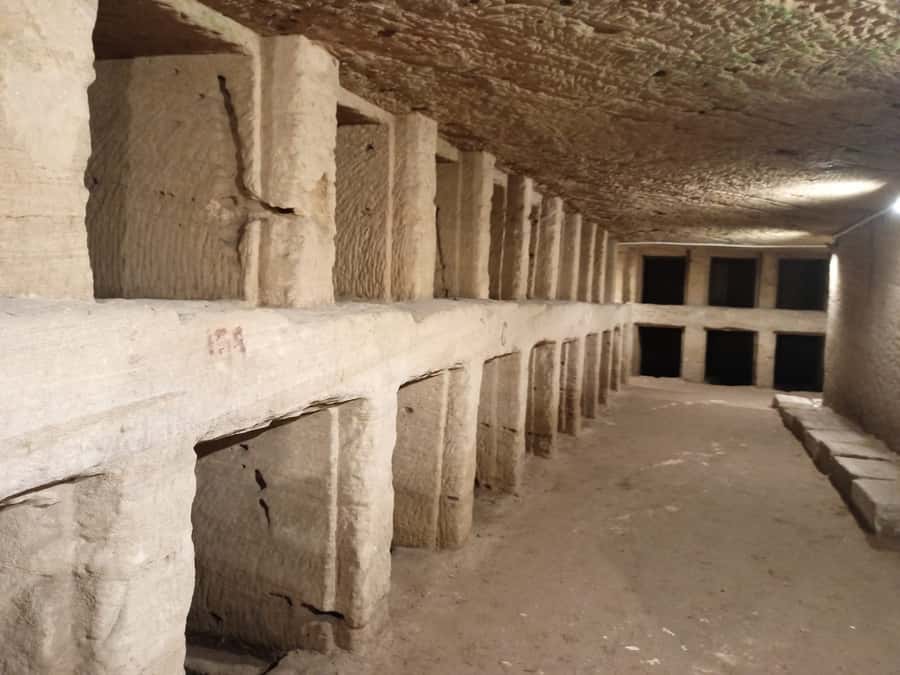 From Cairo: Private Luxurious Day Trip to Alexandria - Bibliotheca Alexandrina and the Friday alternative