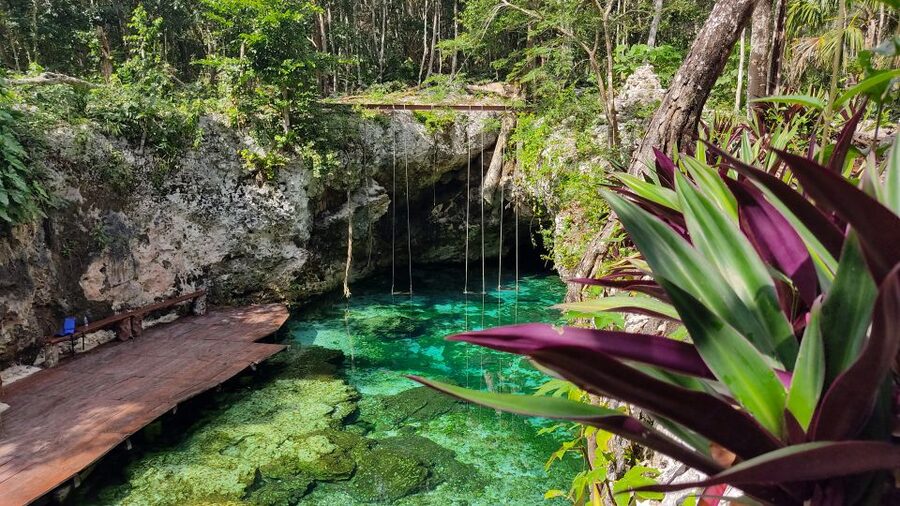 From Cancun: Day Trip to Tulum, Cenote & Playa del Carmen - Food, guides, and the human side of the outing